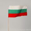 Знаме на България 60/100 см. с дървена дръжка 115 см.