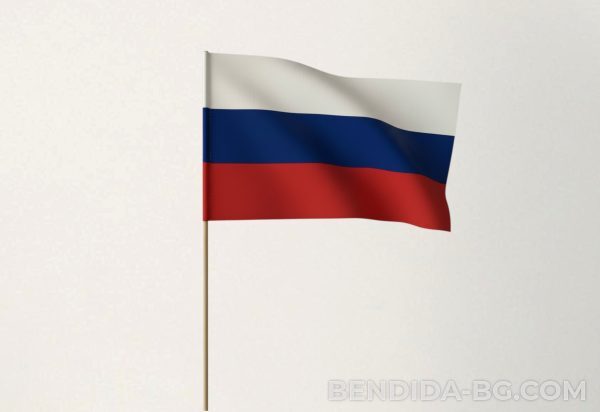 Знаме на Русия с дървена дръжка – 16/22 см.
