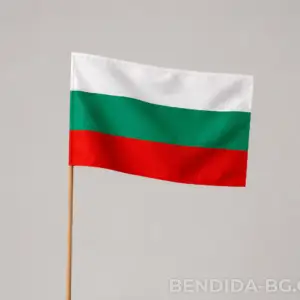 Знаме на България 20/33 см.