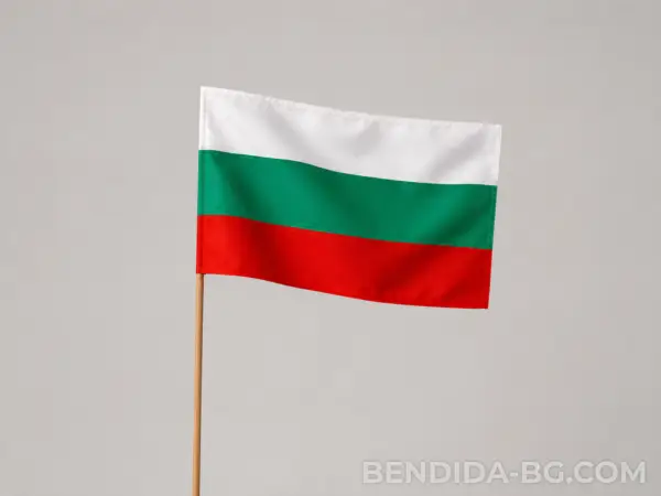 Знаме на България 50/83 см.