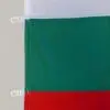 Знаме на България 129/215 см.