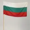 Знаме на България 60/100 см. за агресивни външни условия с дървена дръжка 115 см.
